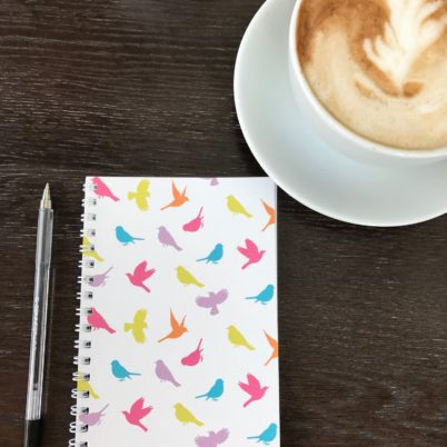 Birds of Paradise notebook in multi colour by Jasmine White